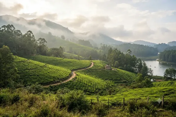 Romantic Ooty